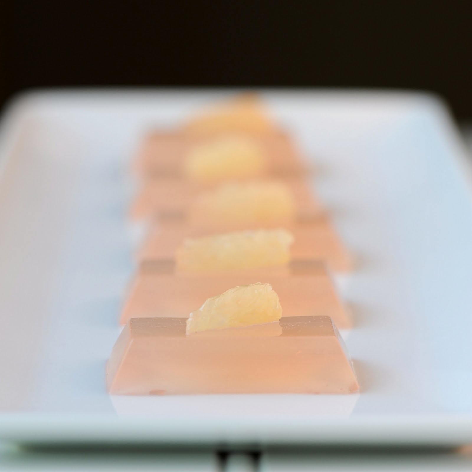 Lsn News Turned To Jelly A Shot At Edible Cocktails