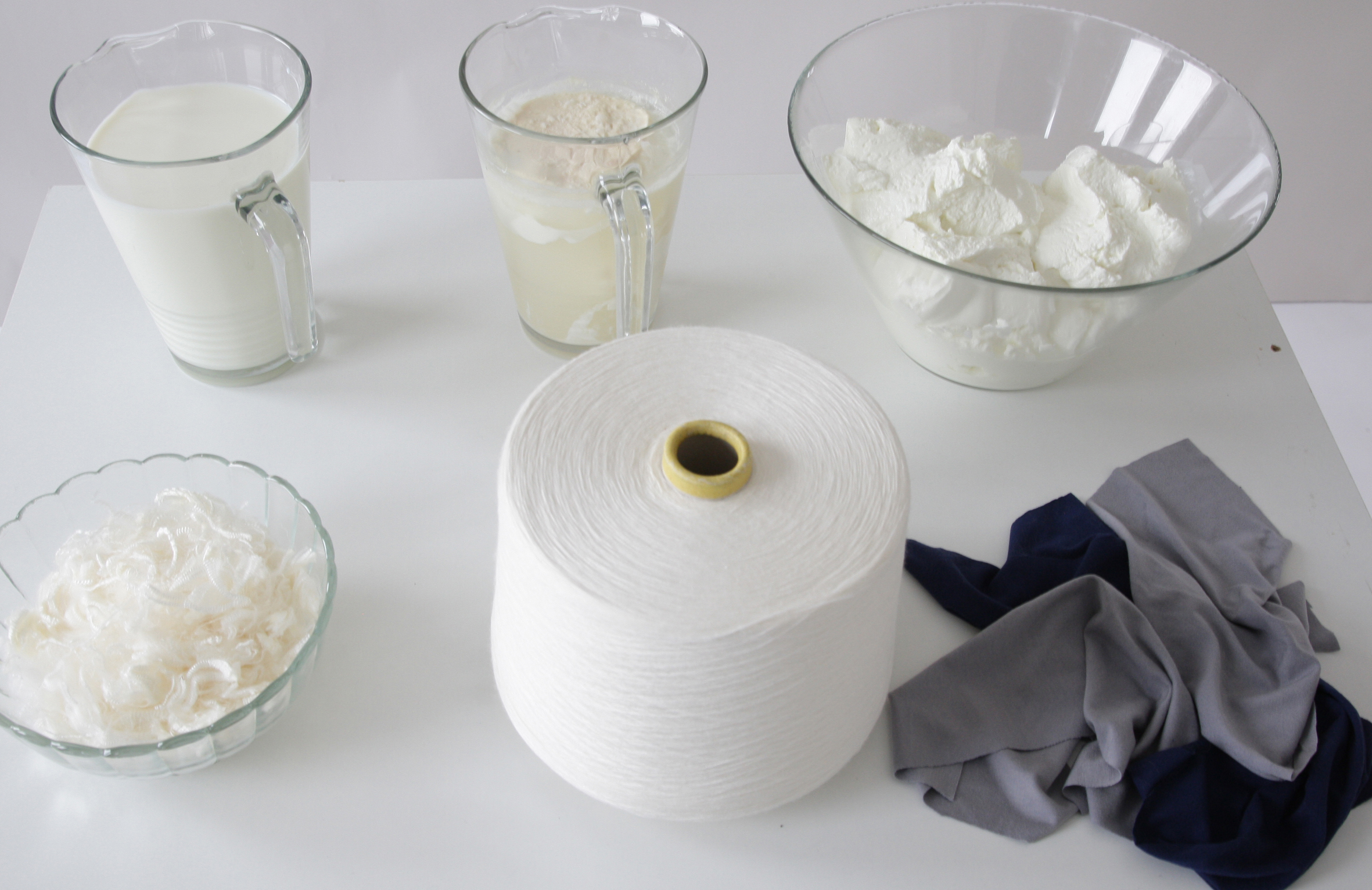 Anke Domaske, Milk fabric