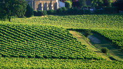 French wineries appeal to Chinese tourists