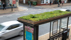 In Leicester, bus stops have become bee sanctuaries