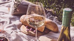Tastry’s AI platform uncorks wine preferences