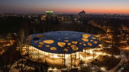 A music museum interwoven with trees