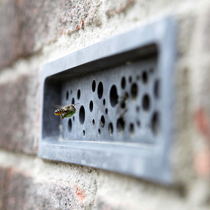 Green and Blue Bee Bricks, UK