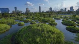 A park in Bangkok that helps purify waste water