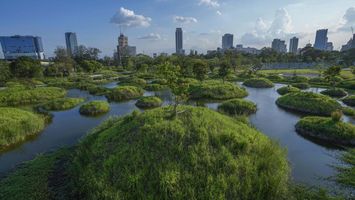 A park in Bangkok that helps purify wastewater 