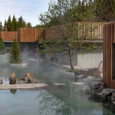 A geothermal spa arrives in an Icelandic forest