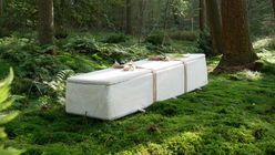 Mycelium coffins are now available via mainstream insurers