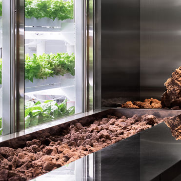 Unseenbird’s Mars-themed café has its own vertical farm