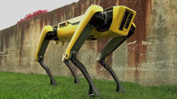 Robot dogs join New York police