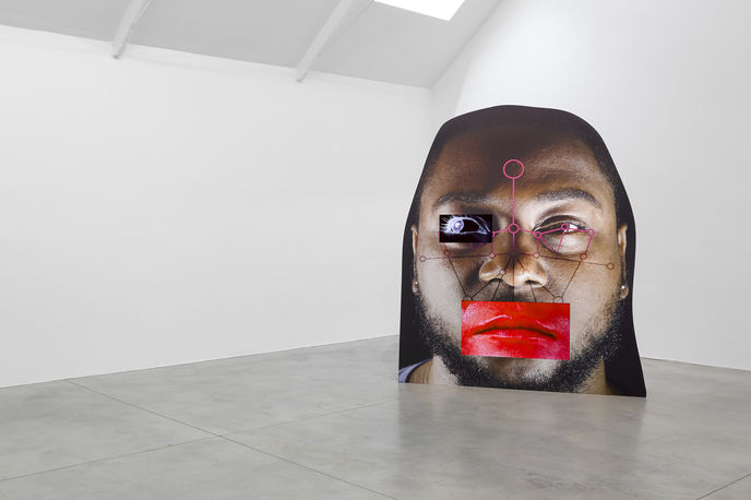 Installation view of template/variant/friend/stranger by Tony Oursler at Lisson Gallery, London