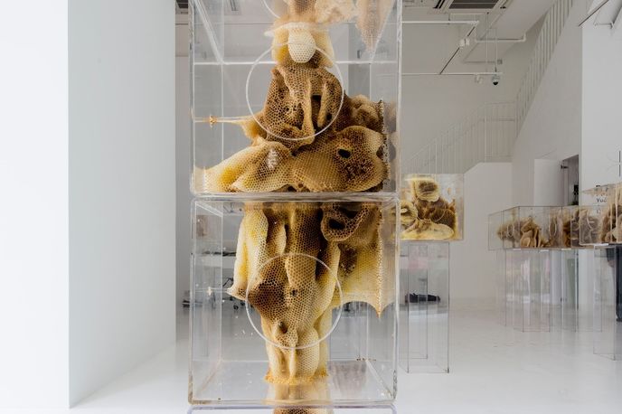 Ren Ri LSN : News : Organic art