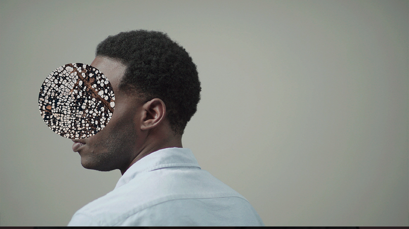 Lsn Macro Trends The Focus Filter