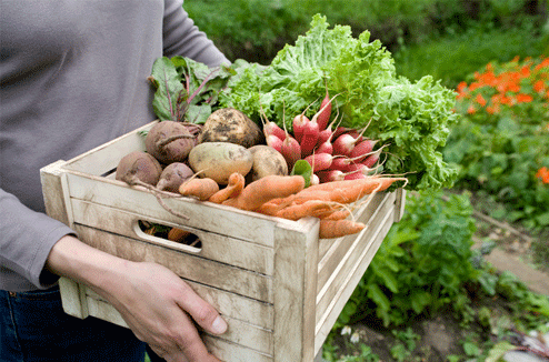 Homing in on home-grown