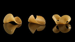 MIT has developed a new flat-pack pasta