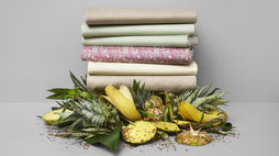 Startup creates textile from coconut by-products
