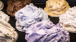 Elastic ice cream launches in New York