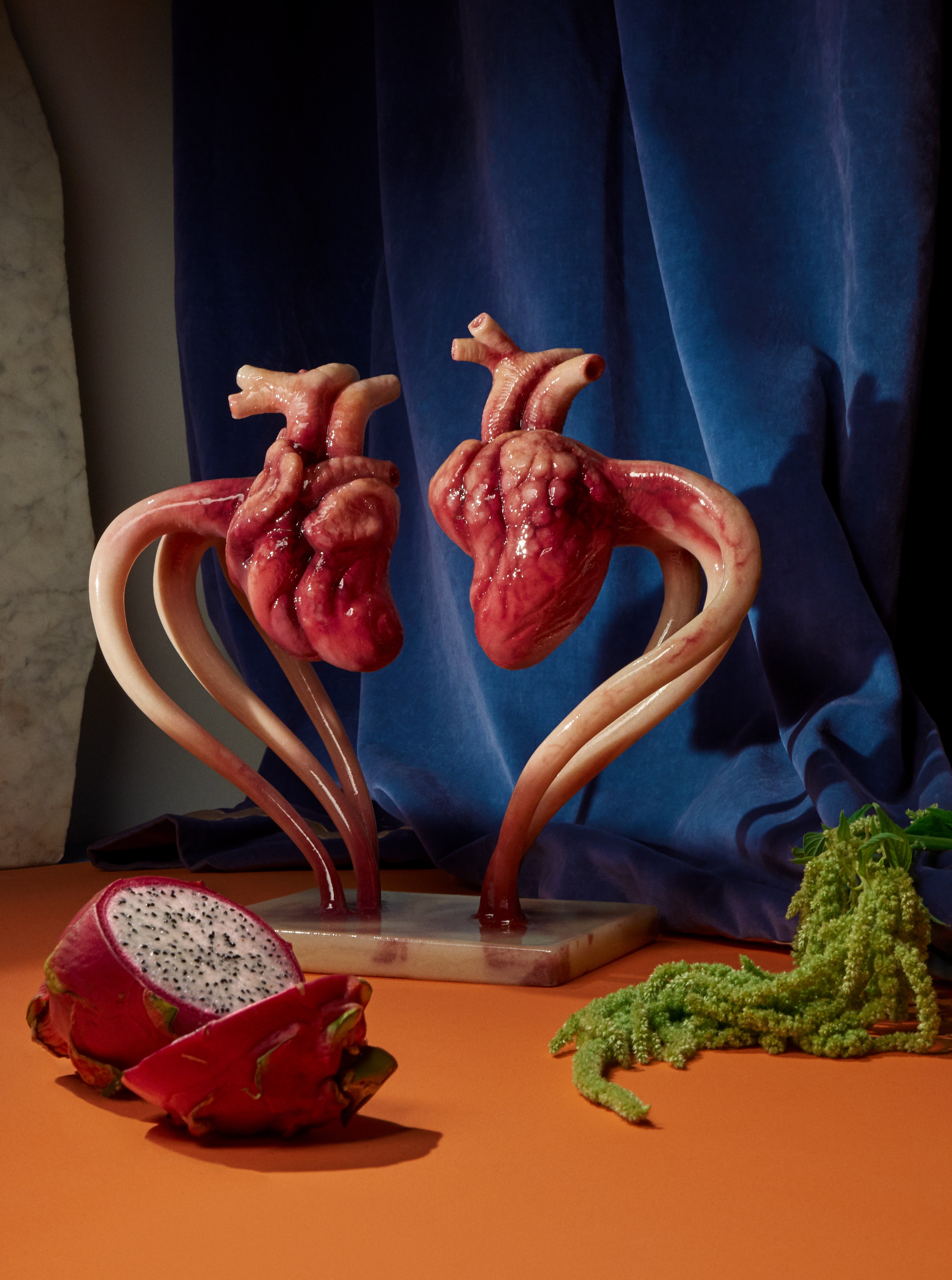 A Human exhibition, Society of Spectacle, New York