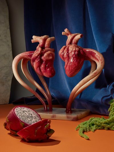 A Human exhibition, Society of Spectacle, New York