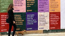 Puppo creates personalised adverts for dogs