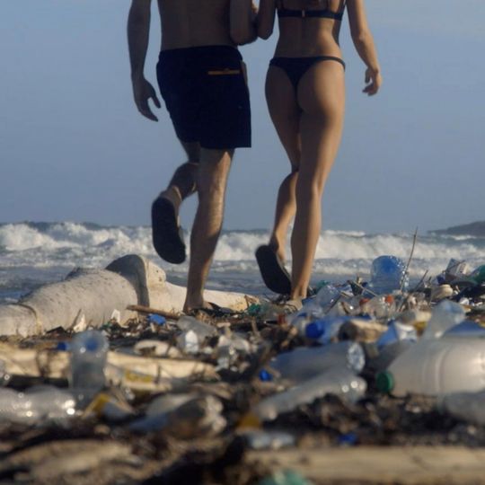 American Sexy Beach - LSN : News : Pornhub wants to clean up the world's beaches