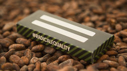 Tech-enabled chocolate that empowers cocoa farmers